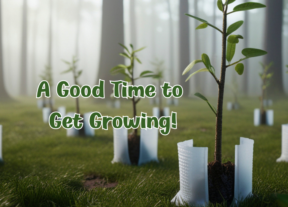 A Good Time to Get Growing!