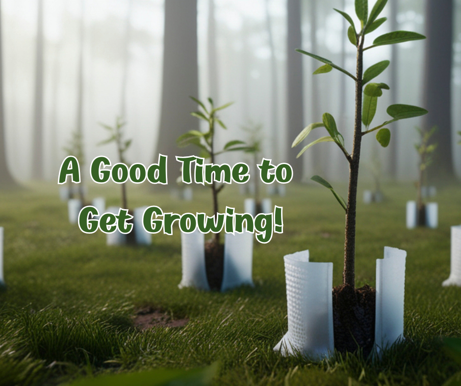 A Good Time to Get Growing!