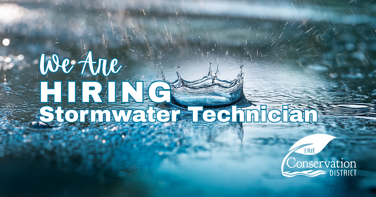 Join our dynamic team and be part of an exciting journey toward growth and success!