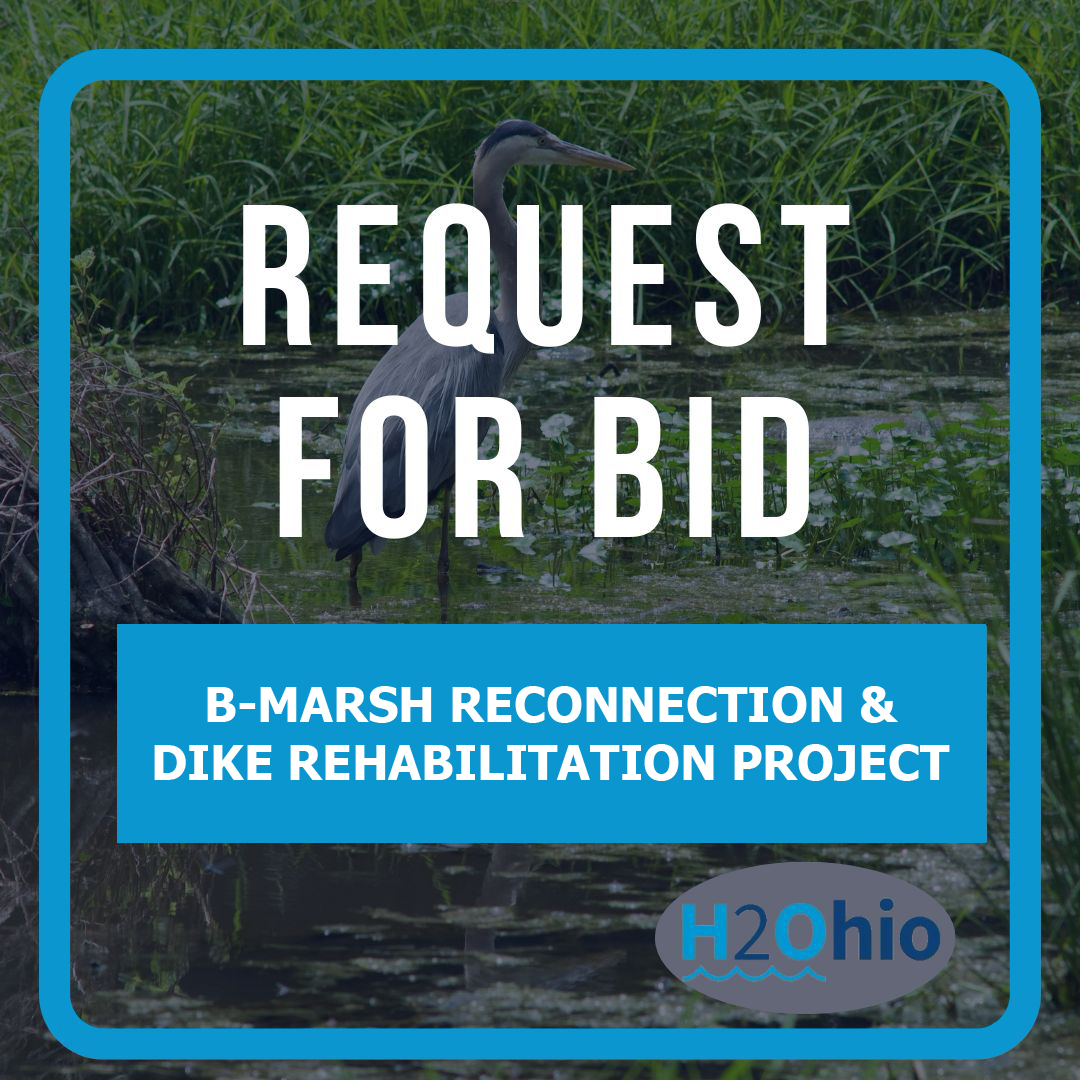 B-MARSH RECONNECTION AND DIKE REHABILITATION PROJECT