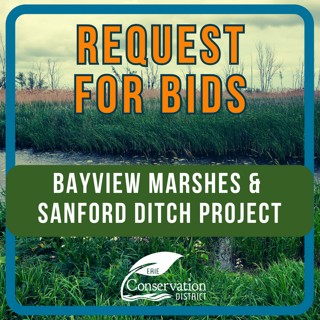 RFQ
