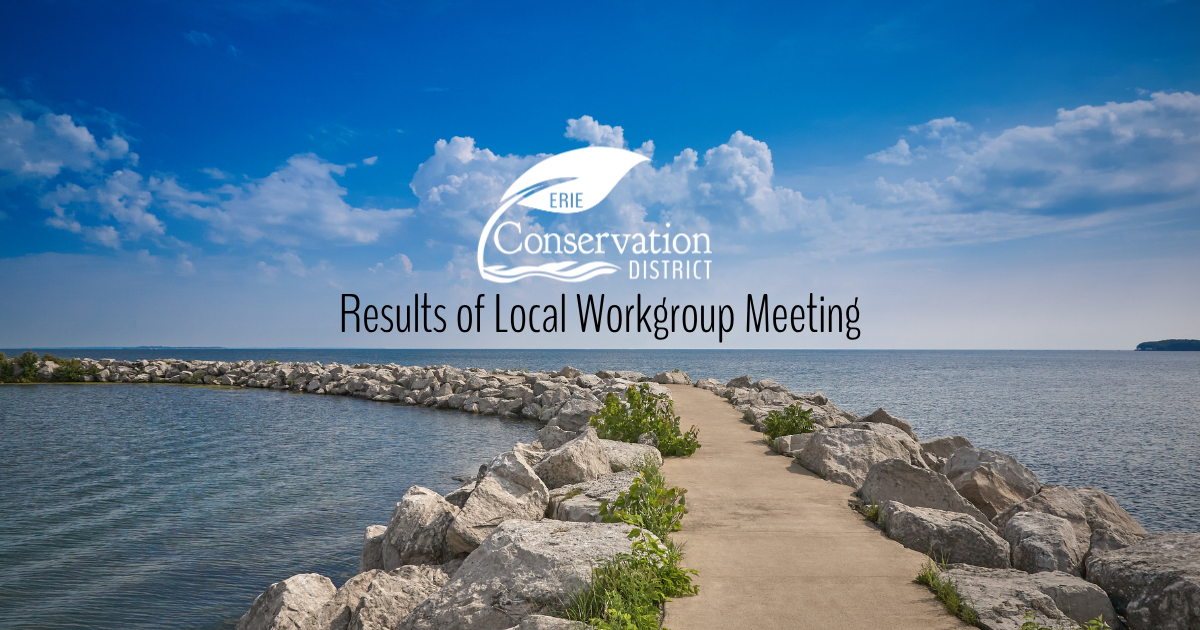 Results of Local Workgroup Meeting